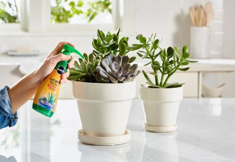 Liquid fertilizer for indoor plants