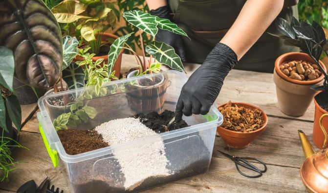 Best Soil Mixes for Indoor Plants