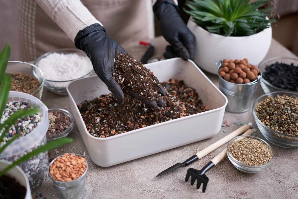 best soil mixes for indoor plants