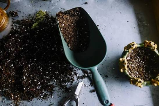 DIY Indoor Plant Soil Mix Recipe
