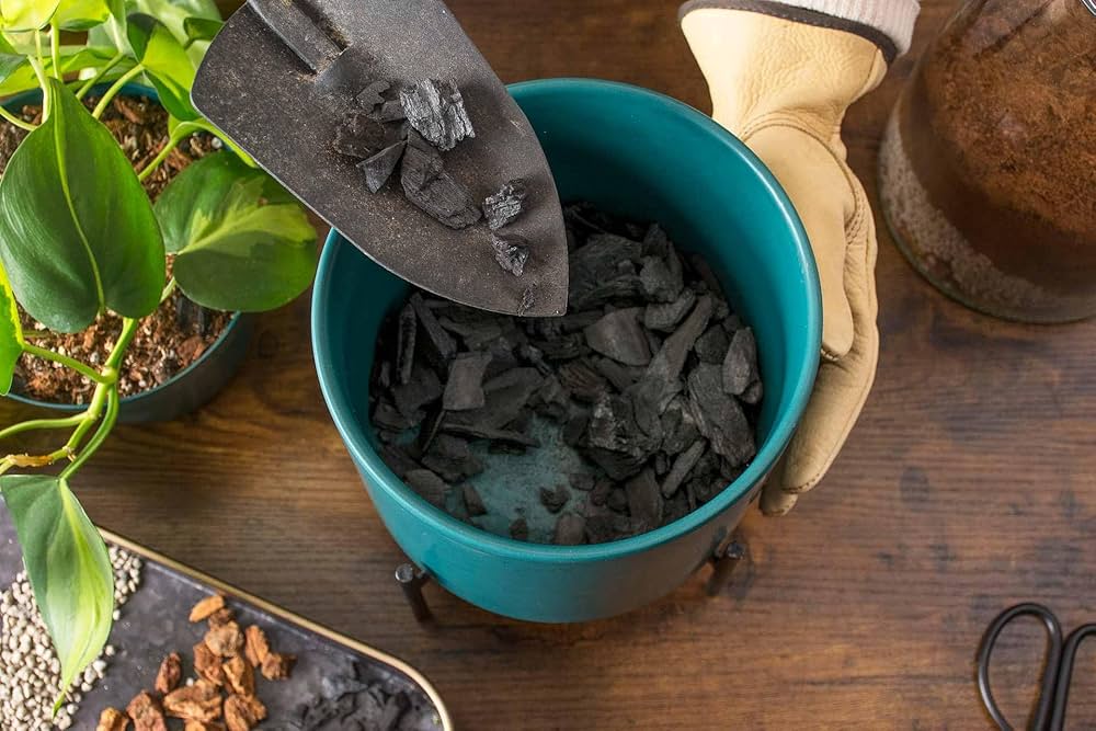 Activated Charcoal